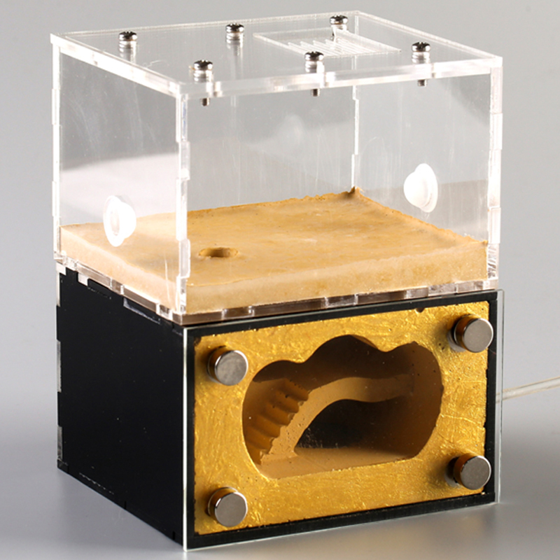 Nid de fourmis en béton jaune, petit nid d&#39;alimentation pour la communauté, animal domestique bionique, ferme, atelier, château, fournitures d&#39;insectes