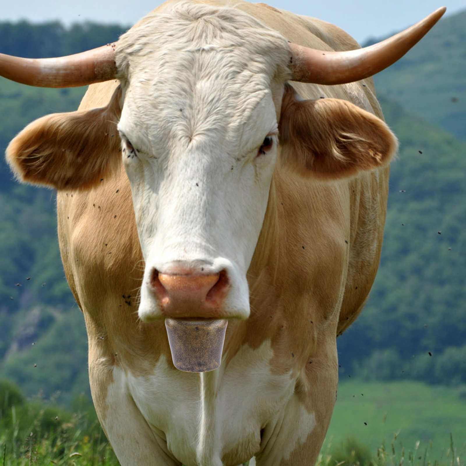 2Pcs Cattle Bells Iron Bells for Cows and Cattle Bell Pendants Livestock Supplies