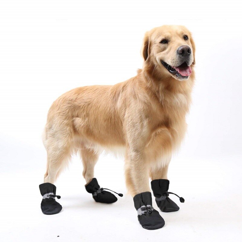 pçs cão de estimação sapatos de inverno chuva – Grandado - Main Image