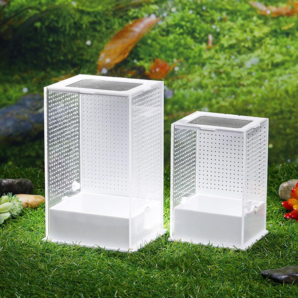 Transparent Acrylic Reptile Feeding Box Insect Box Mantis Breeding Box Insect Reptile Cage Terrarium Feeding Box