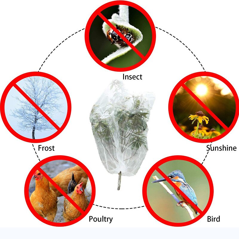 1m X 1.5m Insect-proof Plant Cover Garden Insect Control Mesh Anti Bird Protect Tree Net Fruits Vegetables Flowers Care Cover