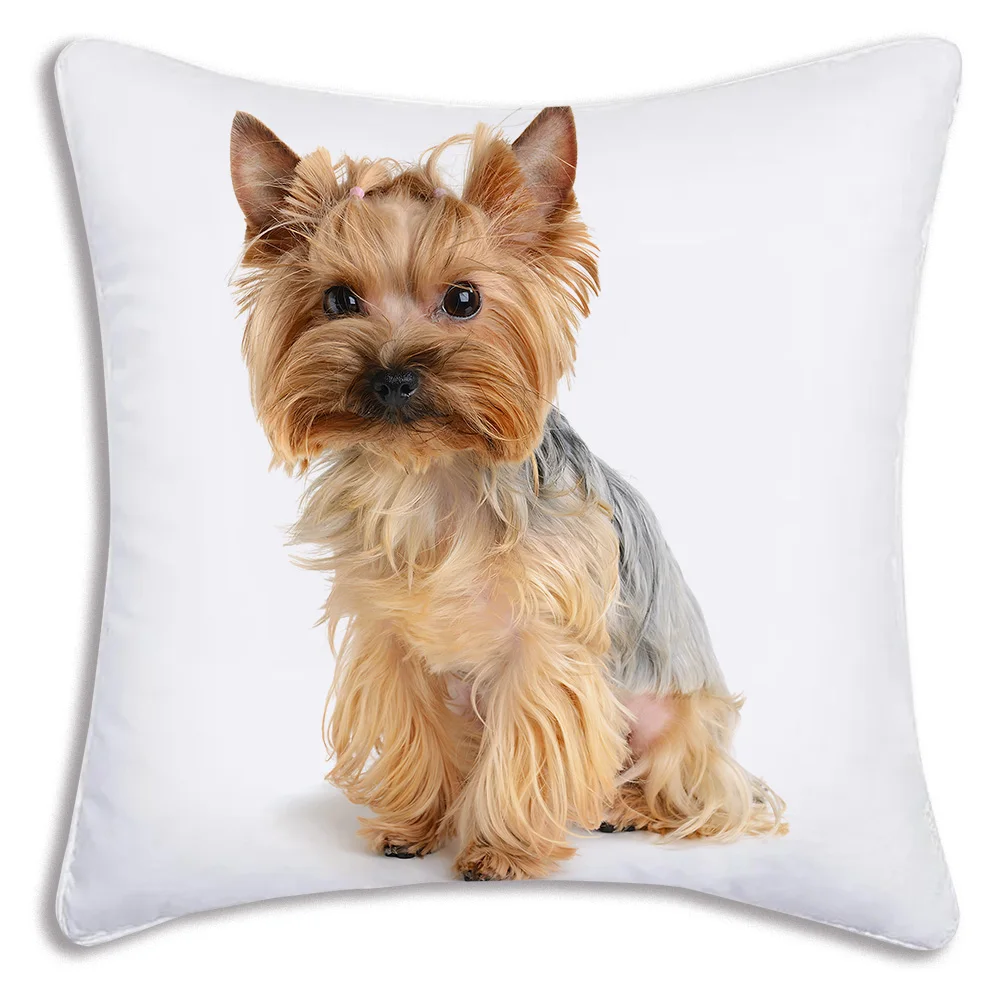 Fodere per cuscini per cani carini Divano dei cartoni animati Federa decorativa per la casa Stampa Fodera per cuscino carina: 50*50cm / bianca