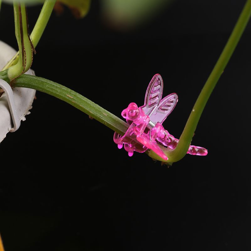 30 Stuks Dragonfly Orchidee Clips Orchidee Grower Ondersteuning Leuke Tuin Plant Bloem Wijnstok Ondersteuning Clips