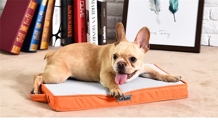 Dog Bed Breathable Dog Beds For Small Dogs Comfortable Waterproof Top Washable Dog Cushion Cover Beds & Sofas: 2 / M