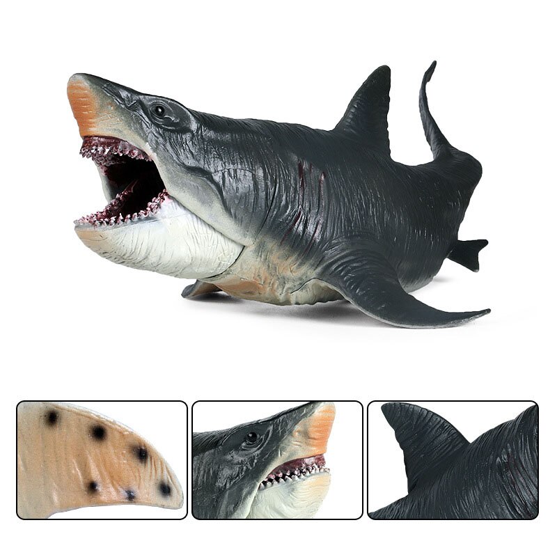 Simulation Hai Modell freundlicher Große Marine Ebene Spielzeug Realistische Biologische Megalodon Meer Quaddel freundlicher Pädagogisches Spielzeug