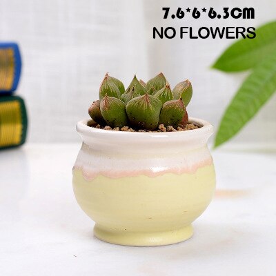 Huisdecoratie miniatuur model bloempotten glazuur asymmetrie bloemenvaas bureaudecoratie ornamenten beeldjes keramische pot: J