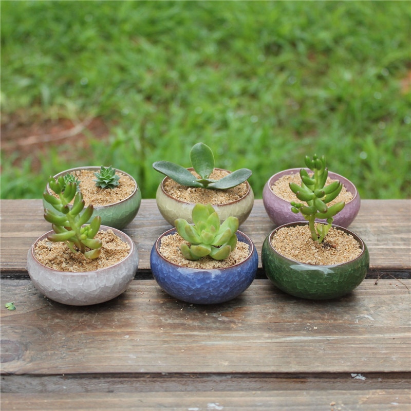Minimacetas decorativas de cerámica para jardín, macetas para plantas, plantas, decoración de escritorio, Maceteros