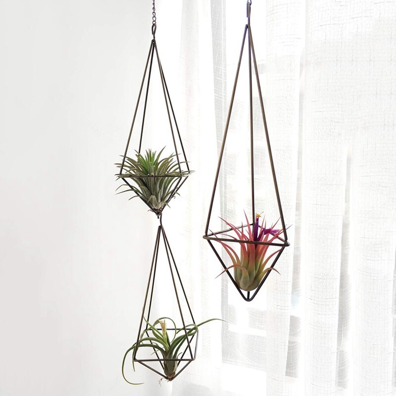 3 pakke hængende luftplanteholder geometrisk planter luftplantestativ tillandsia bøjle med kæde til boligindretning