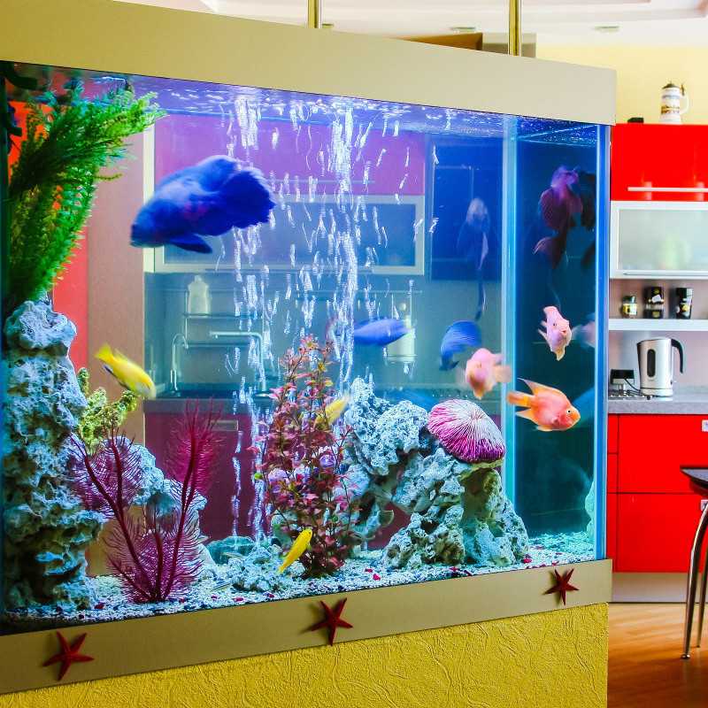 22Cm 10W Aquarium Led Verlichting Verstelbare Plant Licht Aquarium Led Licht Aquatische Slanke Volledige Spectrum Zoetwater Plant groeien Licht