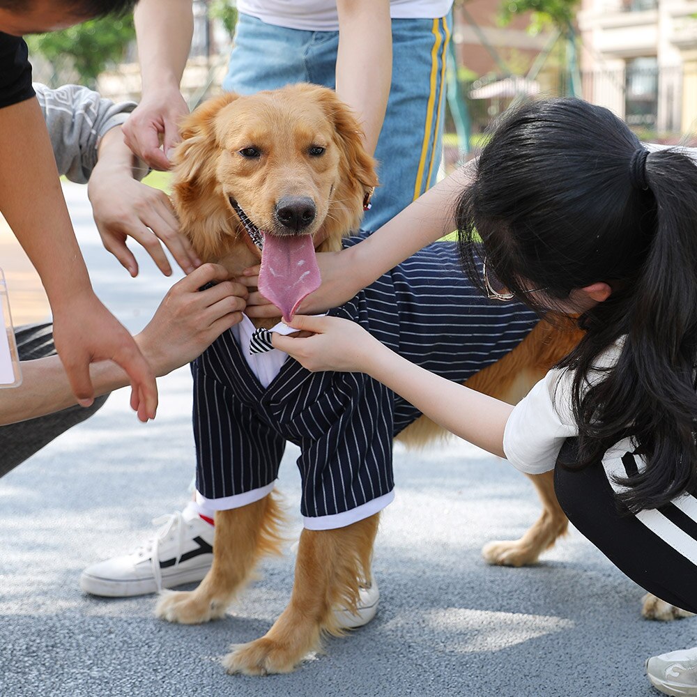 OIMG Gentleman Anzug Hund Hemden + Gestreiften Krawatte Bräutigam Hund Hochzeit Kleidung Für Große Hunde Blusen golden Retriever Labrador