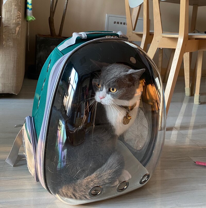 Kat Draagtas Ruimte Huisdier Rugzak Ademend Draagbare Kat Zak Outdoor Reizen Huisdier Rugzak Kat Transport Bag Dubbele Schouder