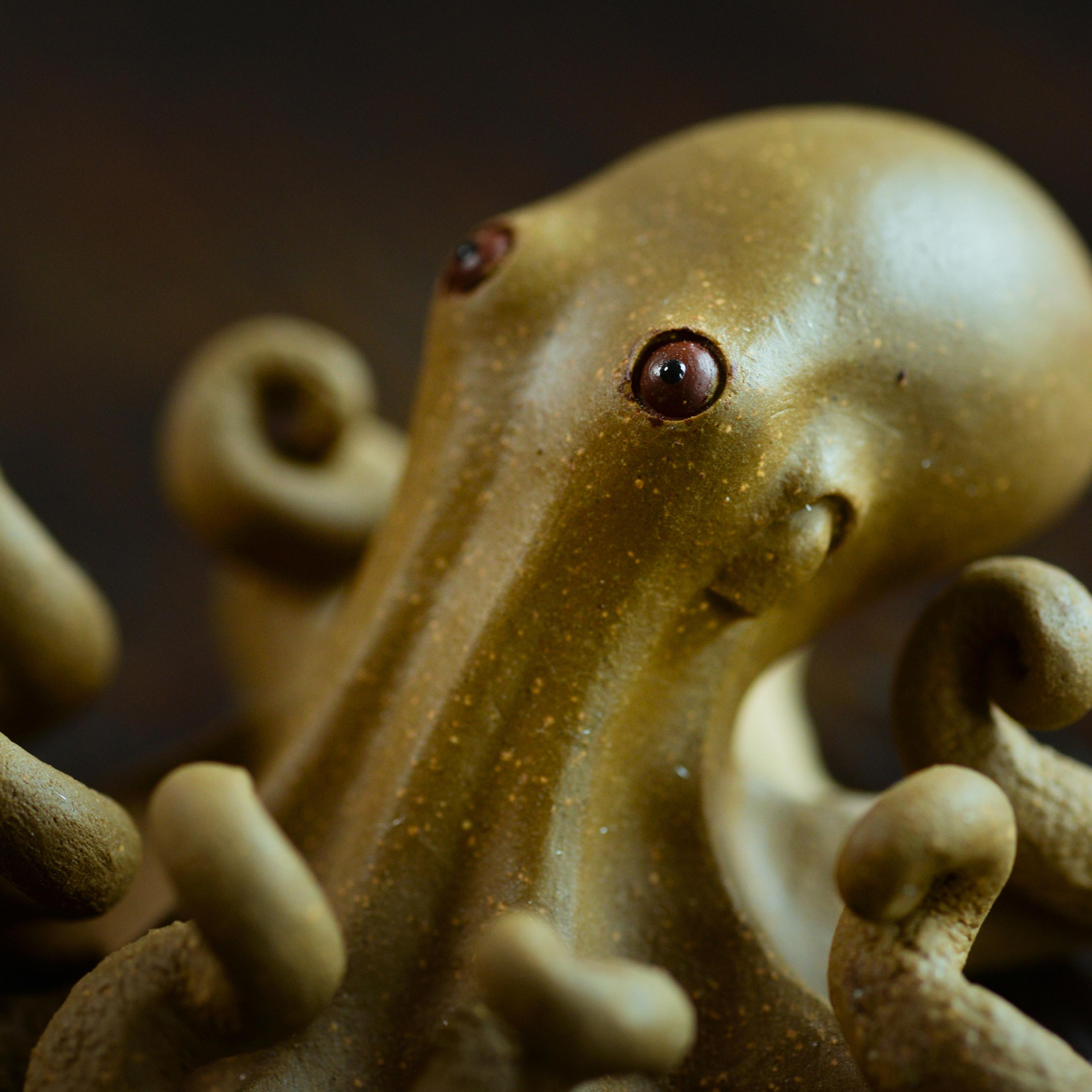 Tibetaanse/Tibet /Nepal Zisha Yixing Gesneden Thee Spelen Carving Standbeelden Decoratie Speelgoed Thee Huisdier Cijfers Lucky Octopus Status keramiek