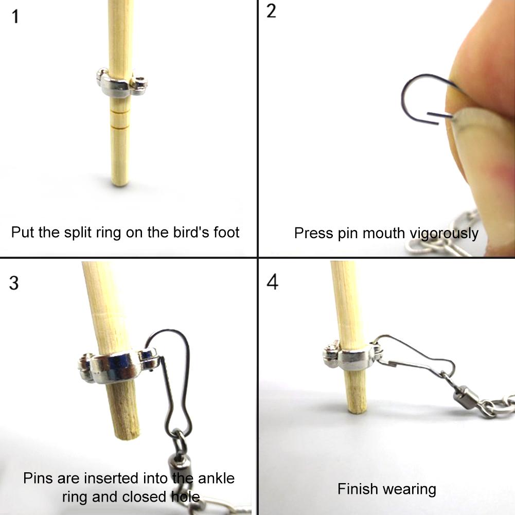 Bague d'ouverture pour animaux de compagnie, 1 pièce, accessoire, pied, chaîne pour oiseaux, activité de vol, accessoire, fournitures