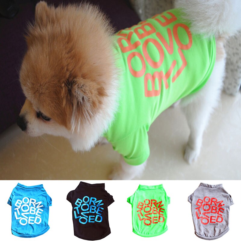 Animal de compagnie chat Costume petit chien chat vêtements mignon chiot chat chaton T-shirt été gilet chemise vêtements pour le printemps et l'été