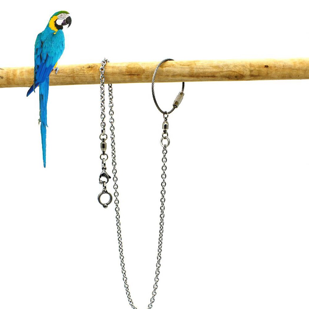 Cadena de pie para pájaros, cadena de pie creativa de acero inoxidable para loros, suministros para pájaros, cadena de pie, suministros para mascotas para loros