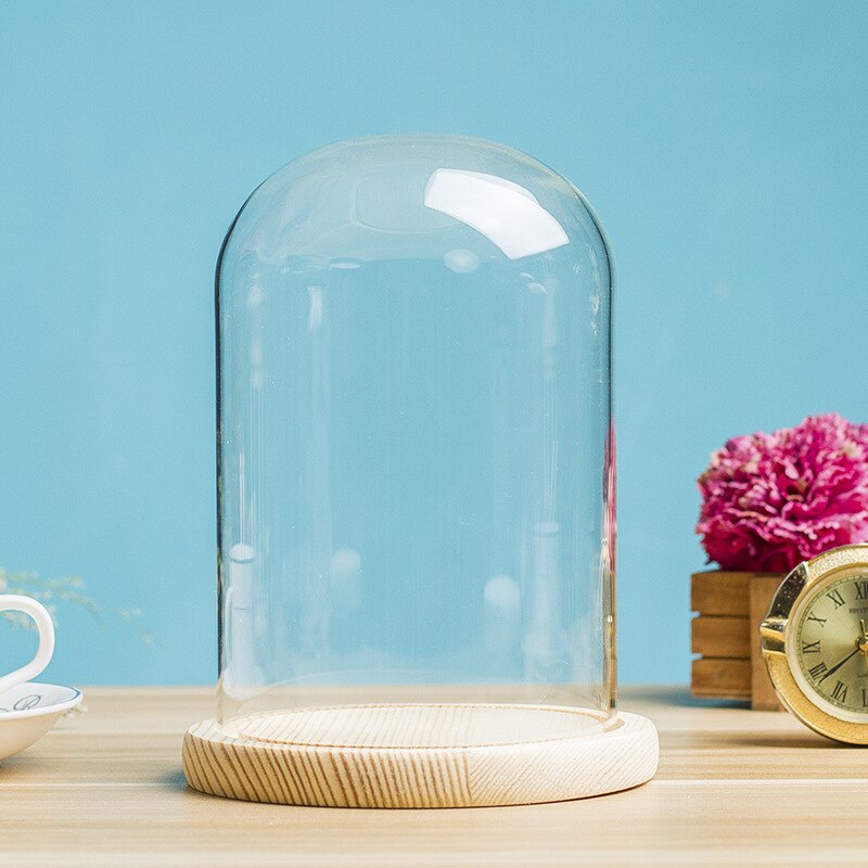 Glass Dome Cover for Flower Succulent Plants DIY Dustproof Covers Case Transparent Bottle Glass Vase Desktop Home Decor Supplies