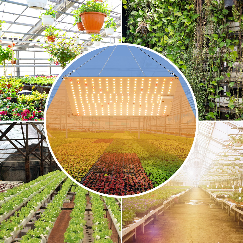 Led Grow Light Led Phytolamp Volledige Spectrum Lamp Plant Groei Hydrocultuur Planten Zaad Bloem Grow Box 1000W 2000W quantum Board