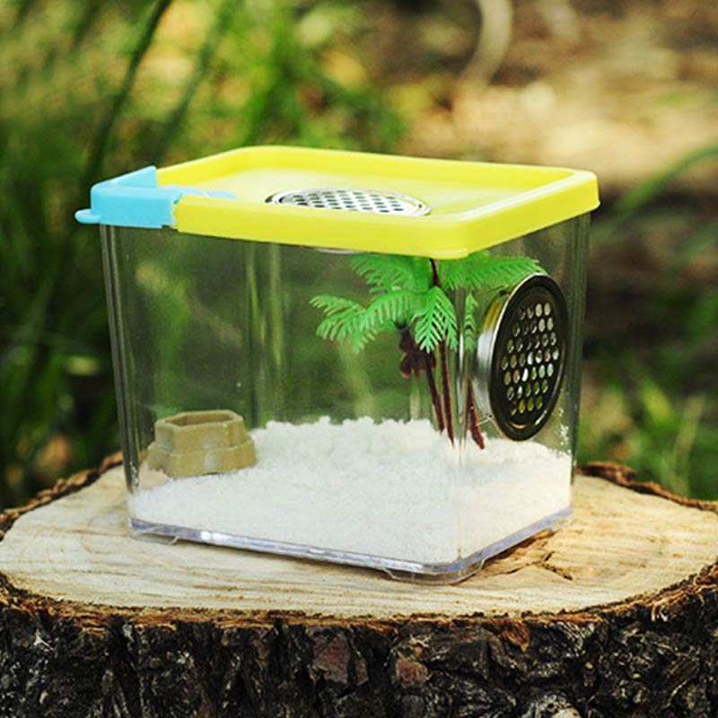 Insect Reptile Spider Terrariums Feeding Box Reptile Cage Hatching Container Rearing Tank Insect House