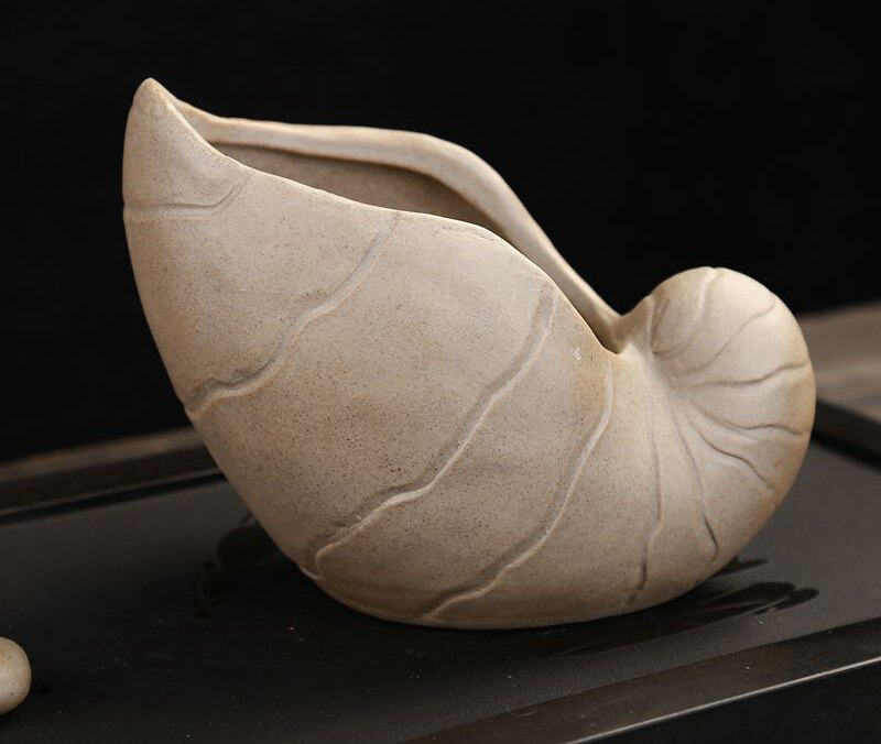 Coarse pottery flower pot shell Shape Ceramic Succulent Plant Pot Holder Fairy Garden Cactus Flower Pots Planter: 02