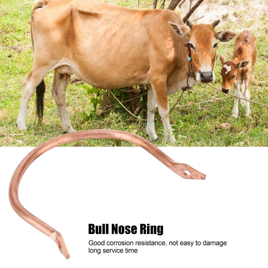 Ko næse ring tyr ko kvæg næse ring husdyr veterinær opdræt tilbehør husdyr næse ring