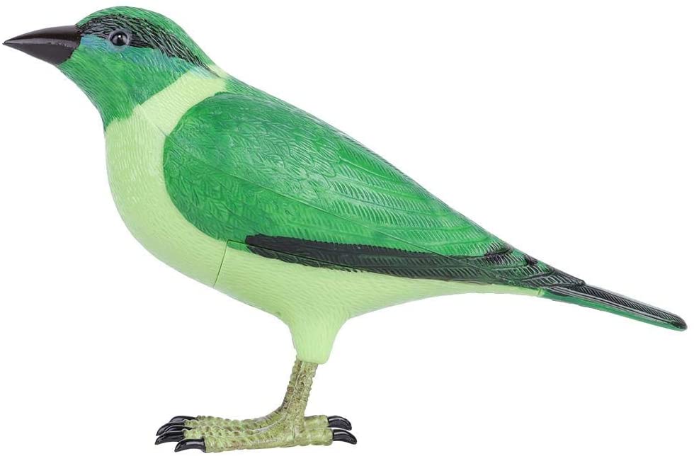 Unique Wireless Digital Jingle Bell Clear Simulation Bird Sound Home Green Remote Control Chime Doorbell