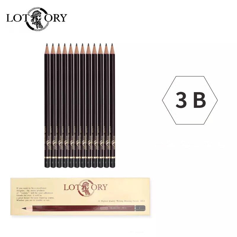 Lotory 12Pcs Drawing Pencils Set Wooden Sketch Graphite Pencil HB/B/2B/8B/12B Simple Pencil For School Office Stationery Crayon: 3B