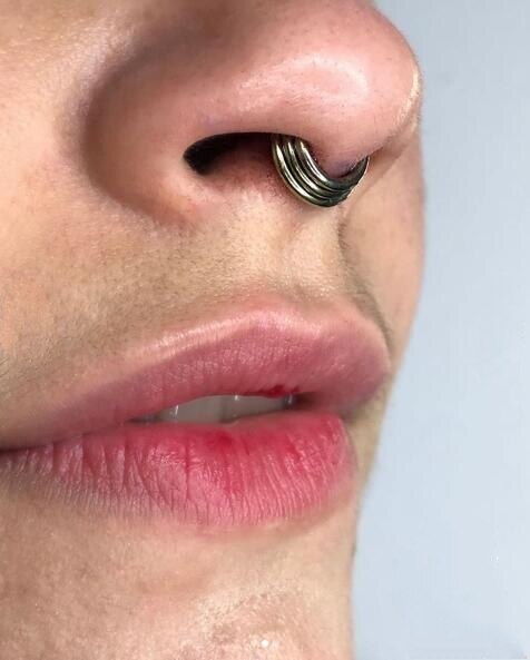 16G Implant Grade Titanium Astm F136 Sexy Scharnierende Segment Ring Body Sieraden Voor Septum Helix Oor Piercings