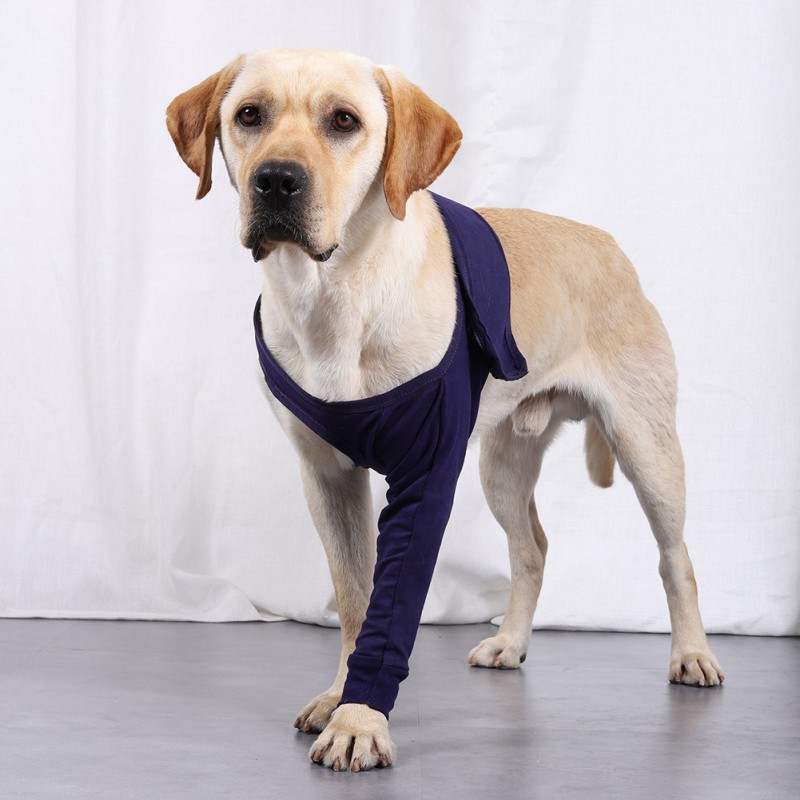 Pet Dog Support Brace for Front Leg Dog Anti-licking Protector Sleeve Hock Joint Wrap Breathable Injury Recover Legs Pad, 8Sizes