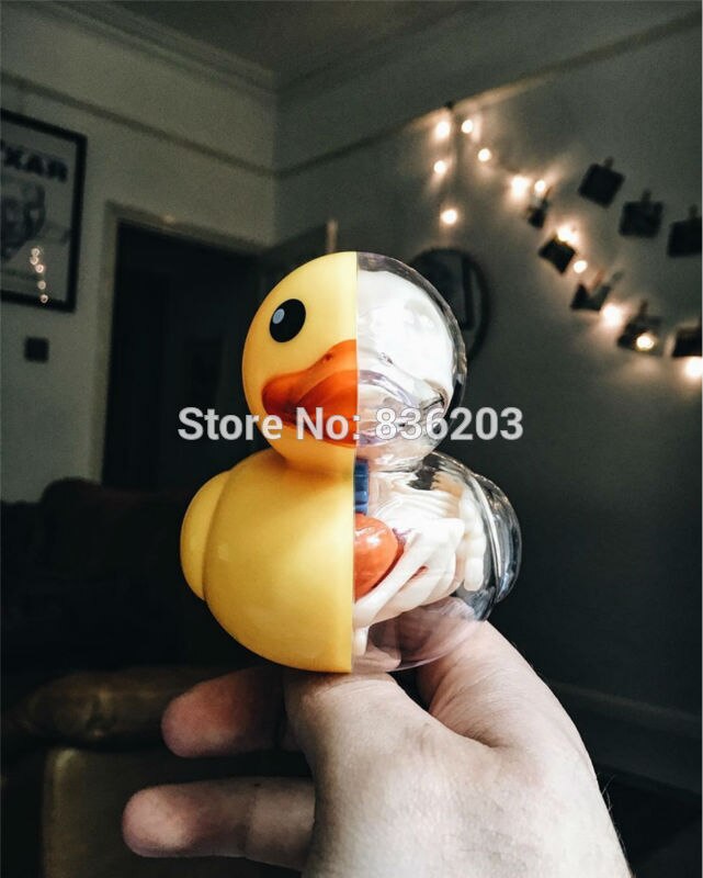 4D master bain Ducky drôle modèle d'anatomie médical crâne humain squelette modèle anatomique Science jouets éducatifs