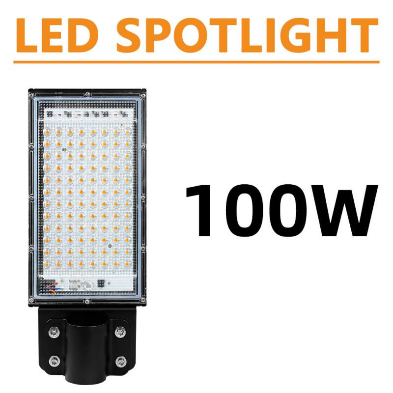 Garden Lighting LED Spotlight 50W 100W AC180-240V Refletor LED Spot Flood Light Floodlight Outdoor Kitchen Home Street Lamps: white 100W