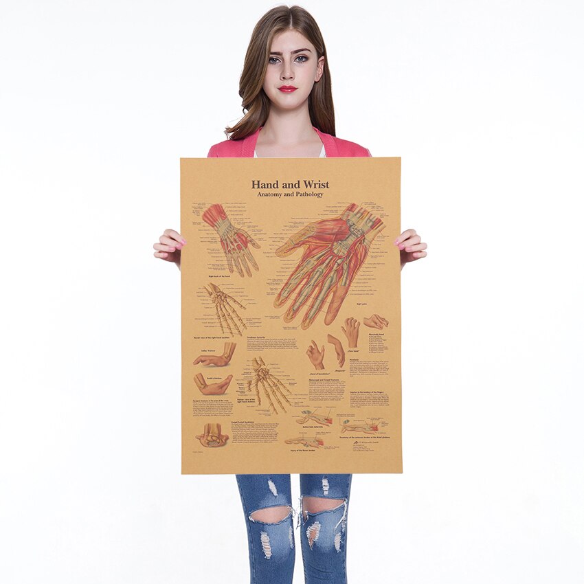 Kroppsstruktur nervesystem plakat kafé barer kjøkken dekor plakater årgang kraftpapir plakat retro veggklistremerker 42 x 30cm