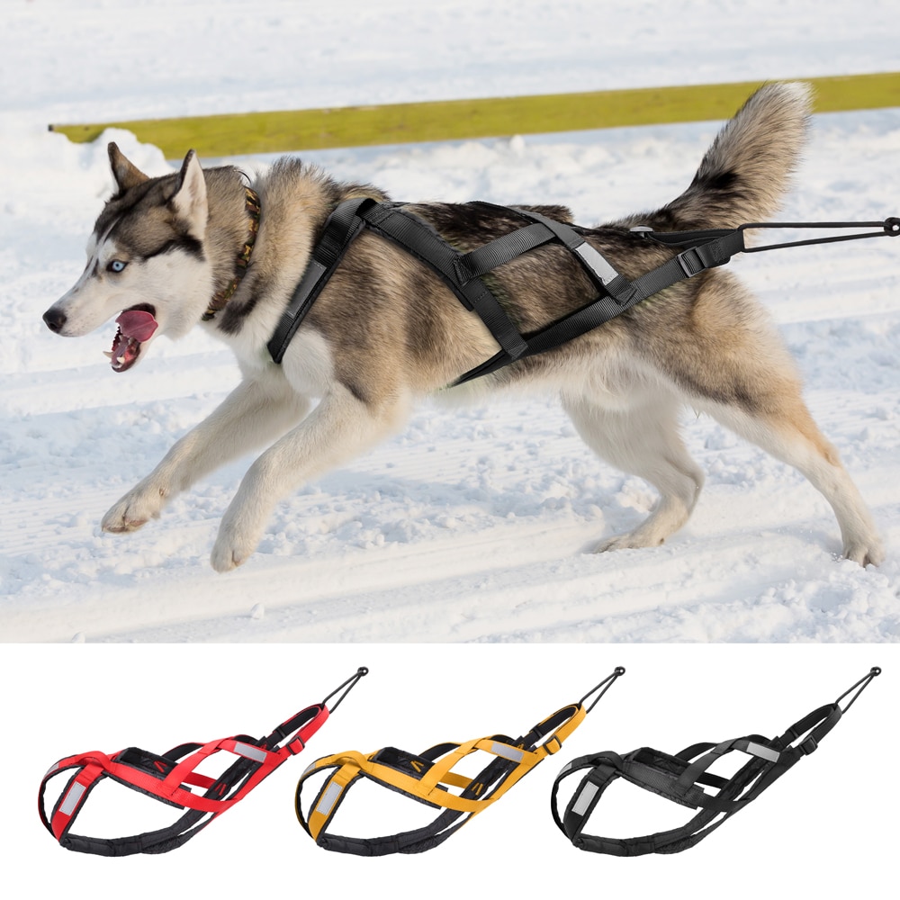 Waterdichte Hond Slee Trekken Harnas Huisdier Mushing Harness Voor Grote Honden Husky Huisdier Oefening Bikejoring Rodelen Skijoring Harnas