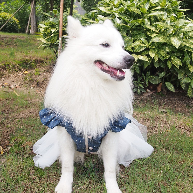 Polka Dot Big large Dog denim dress tutu skirt pet cat Princess wedding dress golden retriever pitbull dog clothes costume