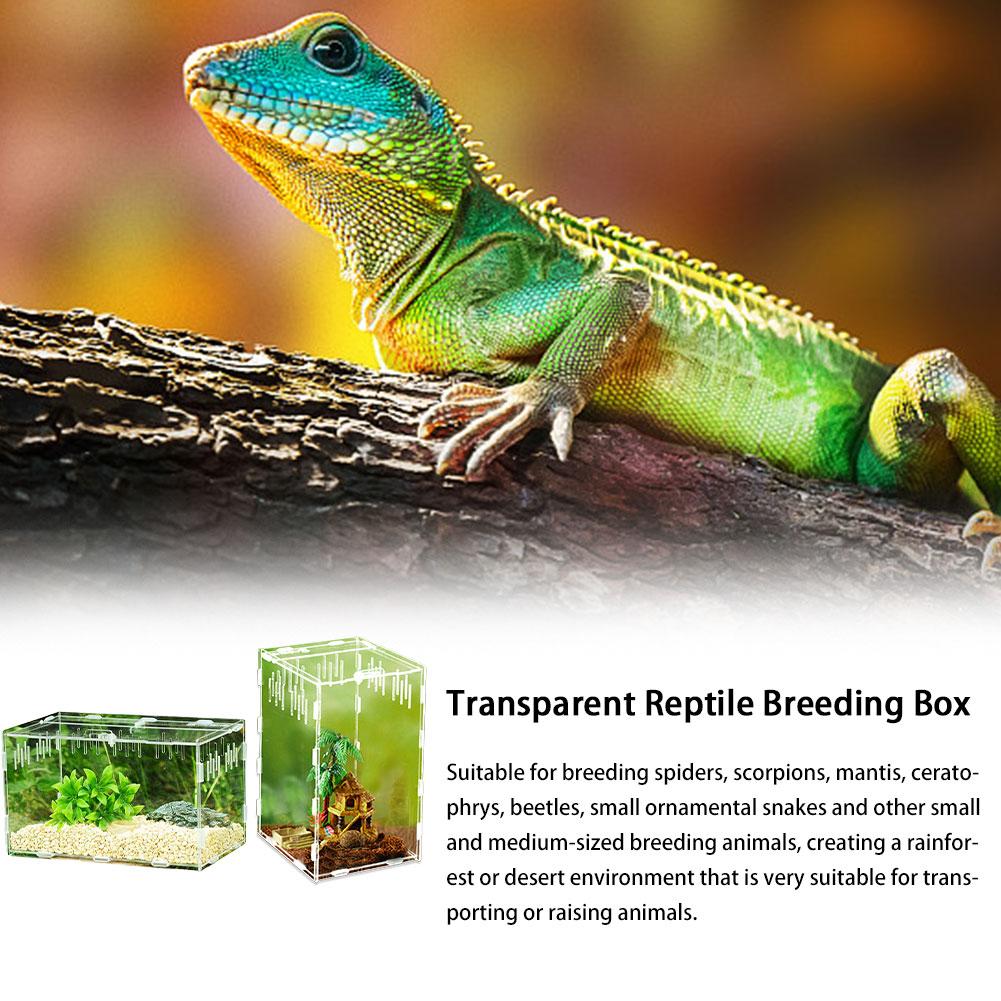 Krybdyr tank insekt edderkop skildpadde firben lille kæledyr avlsboks gennemsigtig akryl vivarium låg krybdyr kæledyr produkt terrarium