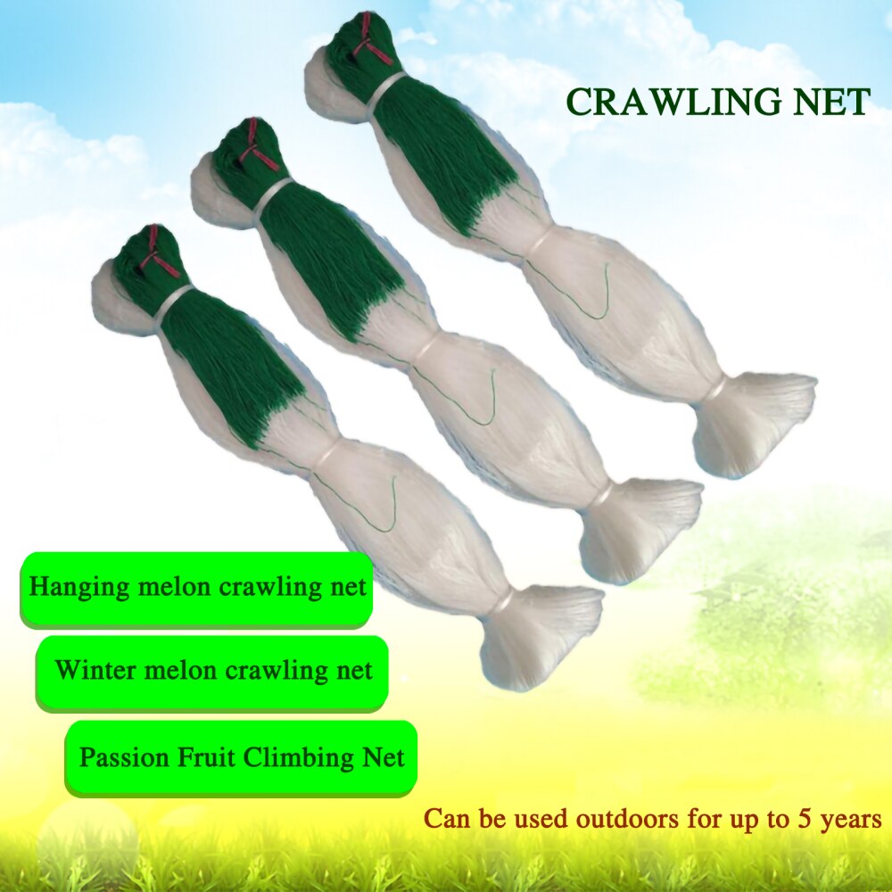 Climbing Net Garden Netting Plant Support Mesh Heavy-Duty Fruits Reusable Vegetables 2*100m Recyclable Rattan