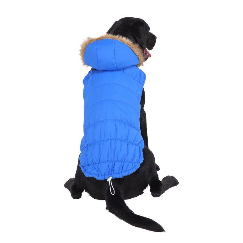 Bdthooo S-Xxl 100% Hond Jas Franse Bulldog Winter Waterdicht Honden Jas Kleding Voor Kleine Middelgrote Grote Honden kleding