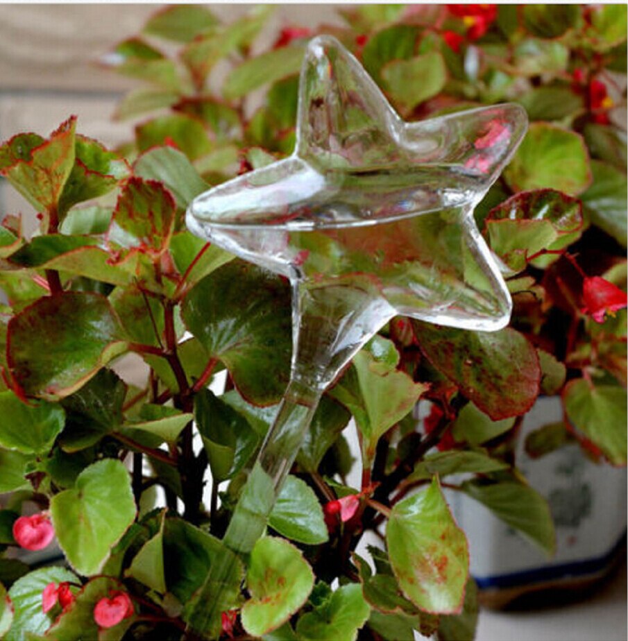Alimentador automático de agua para plantas y flores, dispositivos de autorriego, alimentador de agua de vidrio transparente, forma de pájaro, 6 formas: star
