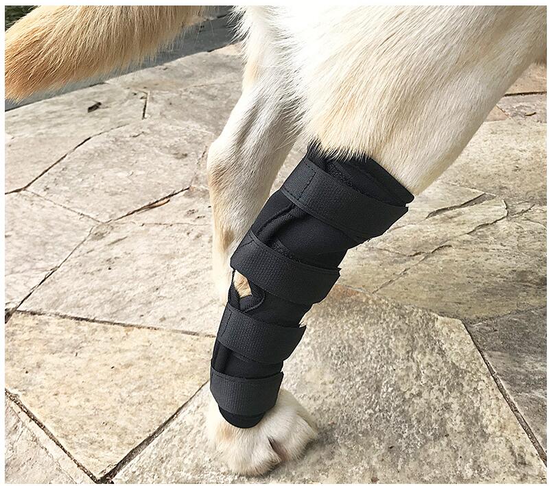 Hundestøttebøjle kæledyrsunderstøttende baghundekomprimering benledfolie beskytter sår og skader