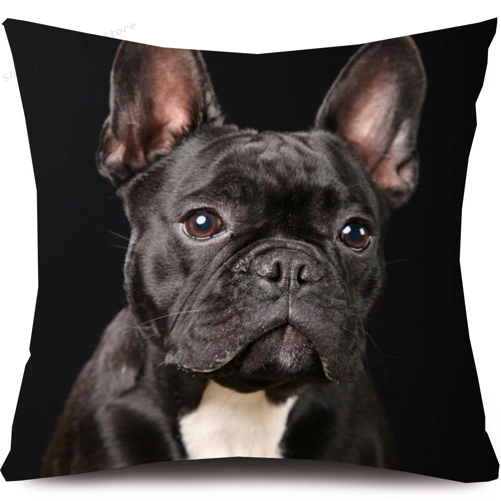 Niedlicher Haustier-Kissenbezug mit französischer Bulldogge, Kissenbezug, Sofa-Kissenbezug, Raumdekoration