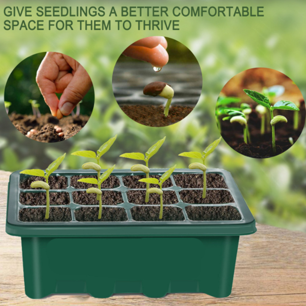 Plant potted seedling set 12 Holes Plastic Nursery Pot Seed Grow Planter Box Greenhouse Seeding Garden Seed Pot Tray With Lids