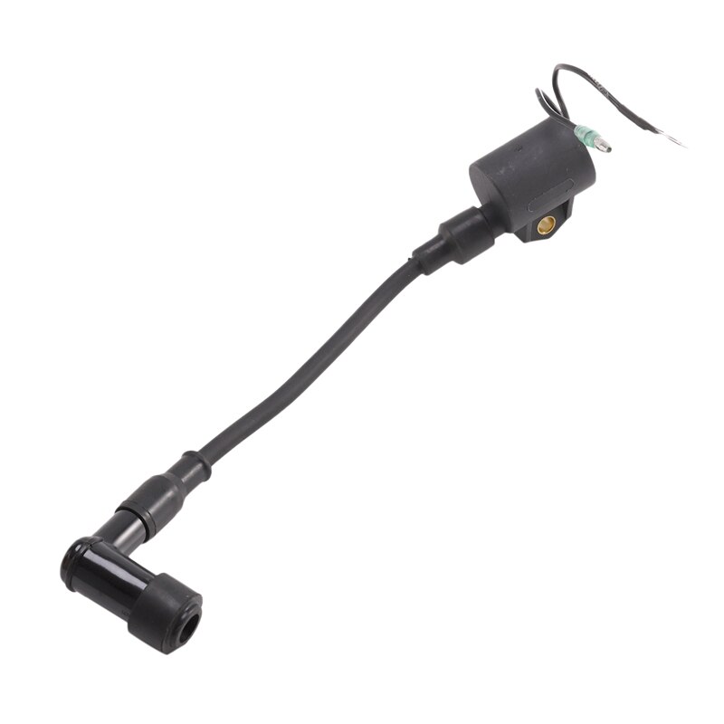 Bobine Voor Yamaha Buitenboordmotor 6H5-85570-00 40HP 50HP 2 Takt 3 Cilinder 6H5-85570