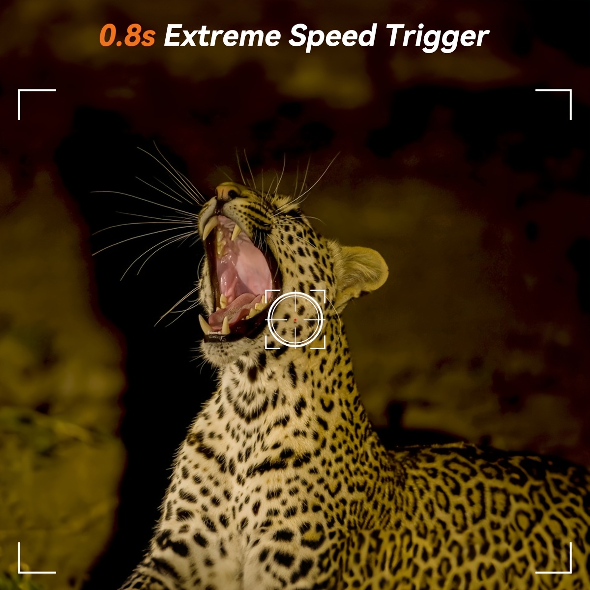 Jagd Kamera wild Infrarot Nachtsicht draussen Bewegung Pfad Spiel Nocken Aktiviert Verfolgung Foto Falle Nocken wild Überwachung