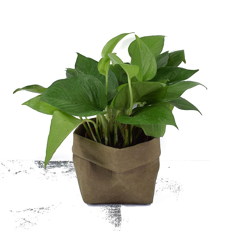 Flower Pot Kraft Paper Washable Plants Vegetable Grow Bag Succulent Planter Flowerpot Desktop Organizer Storage Bag 35