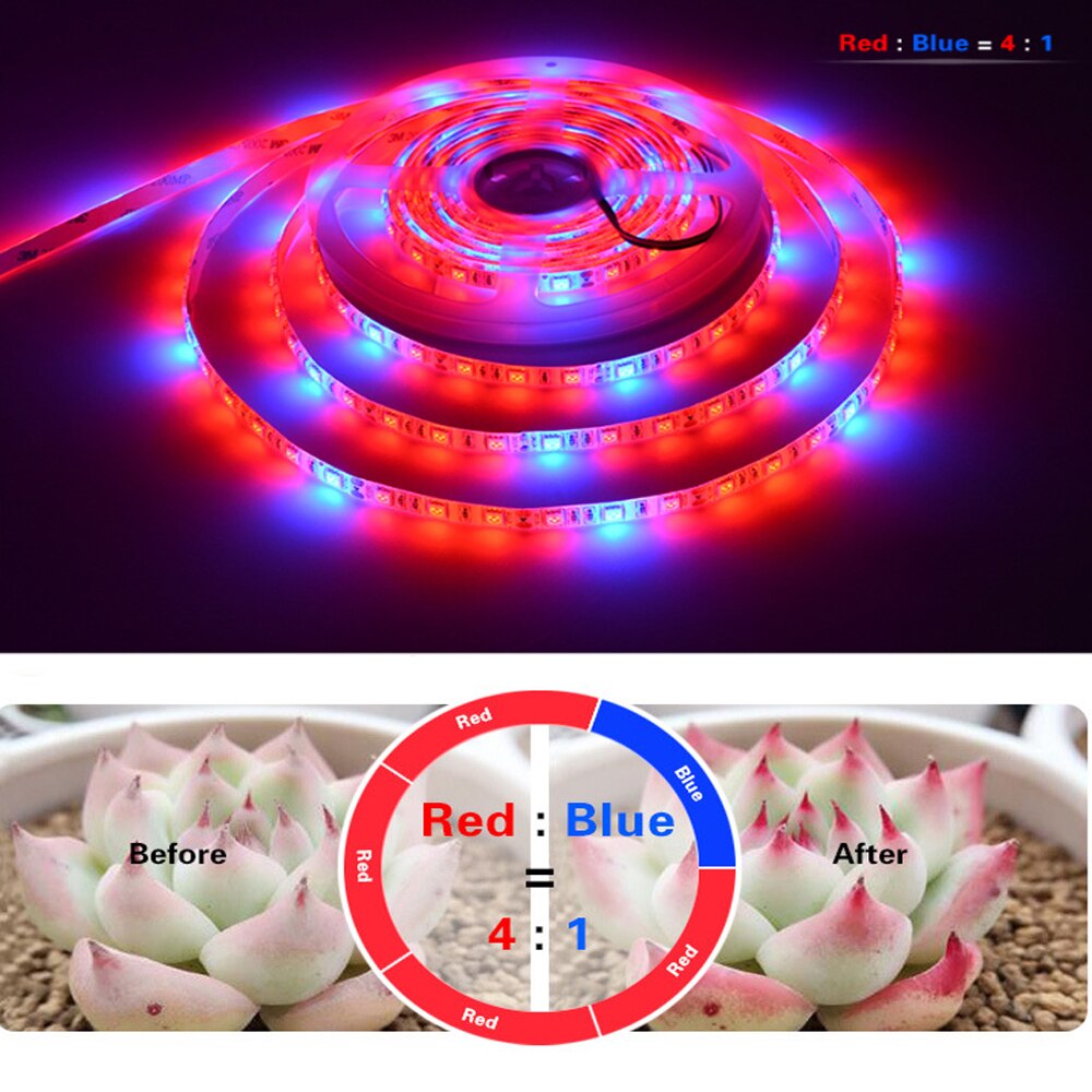 LED Grow Light Volledige Spectrum waterdichte USB LED Strip Verlichting 5050 60 LEDs Phyto Lampen Voor Kas Hydrocultuur Plant Groeit