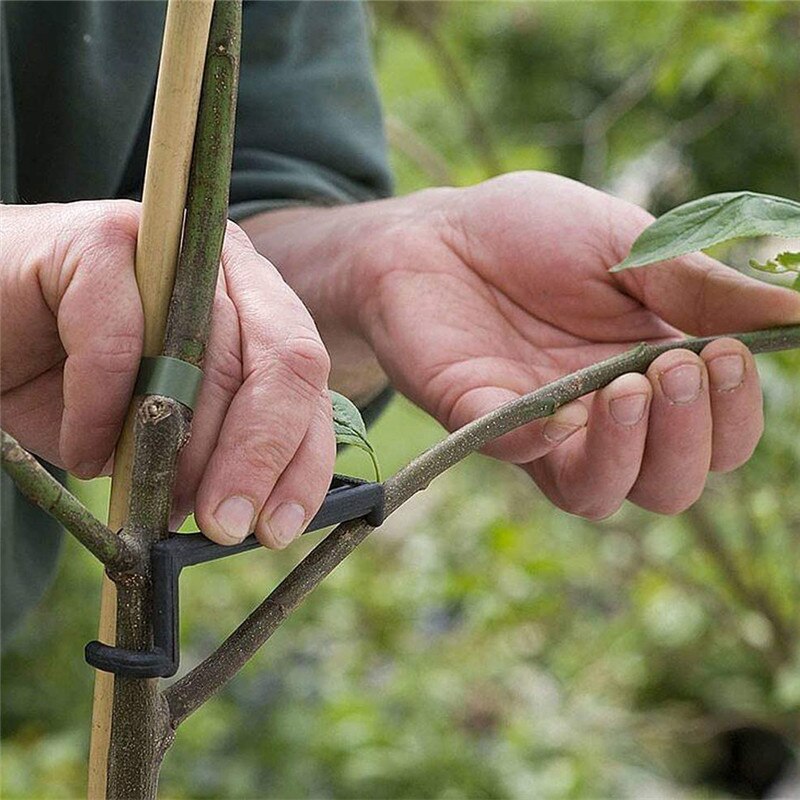 100pcs Fruit Tree Branches Holder Plant Support Fruit Branch Spreader Tree Branch Support Frame For Yard Fruit Tree Branch Fixe