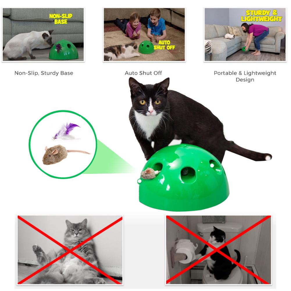 NPLAY Cat Toy Funny Carnival Game For Kitty Pet Includes Interchangeable Mouse &amp; Feather Pet Supplies
