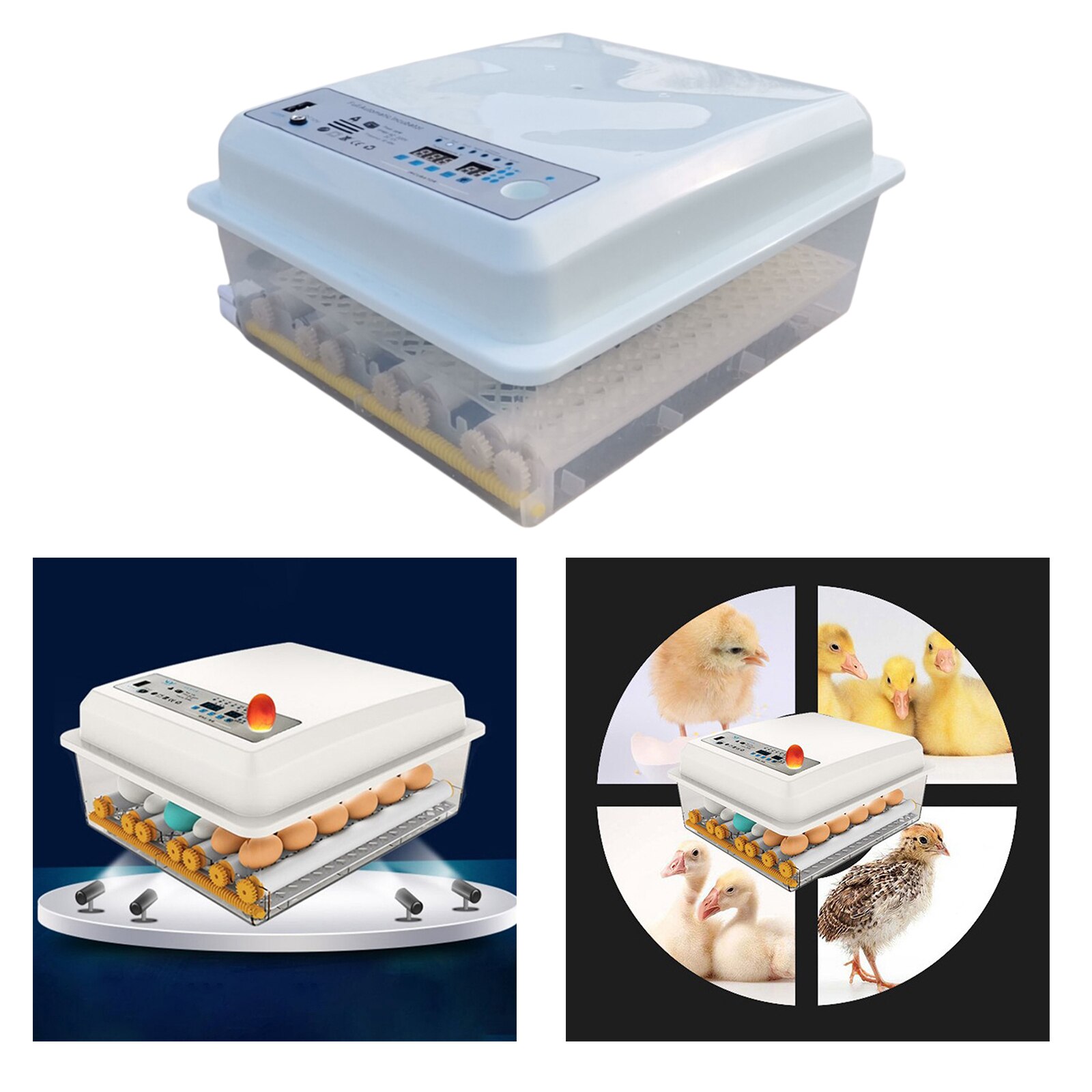 16/36 Egg Incubator for Hatching Eggs, Digital Mini Incubator with Automatic Turner Adjustable for Chicken Duck Quail Bird Eggs: 36 Eggs