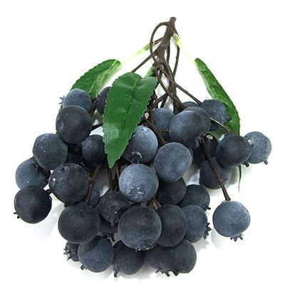 Simulated Fruit String Foam Longan, Longan, Lychee, Blueberry, Cheli, False Fruit Props Shooting Props