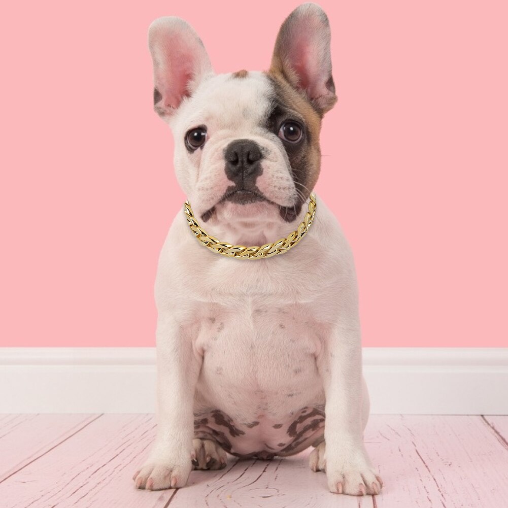 Luxe hondenhalsband pitbull ketting pug halsketting bulldogs frances accessoires gouden kleur huisdierproducten voor kleine middelgrote honden