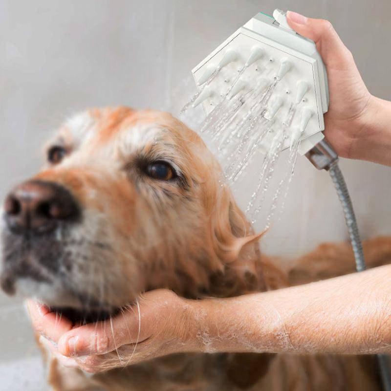 Hond Douchekop Multifunctionele Nozzle Kat Kam Huisdier Massage Ontharing Borstel